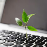 green sapling growing out of laptop keyboard