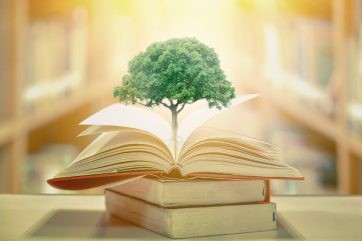 what changes can the educational sector make to reduce environmental impact