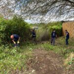 Apogee & Toshiba volunteers clear an area for orchids at Holme Farm
