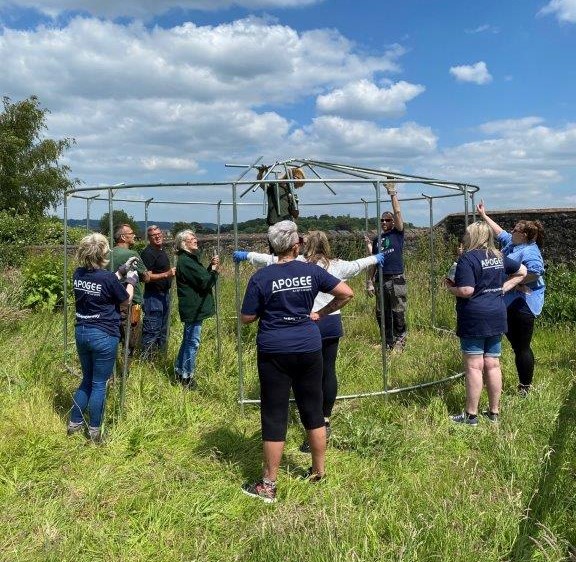 people & culture team volunteers teambuilding